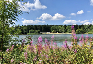 View of a lake with wildflowers in the foreground and forest in the background under a partly cloudy sky.