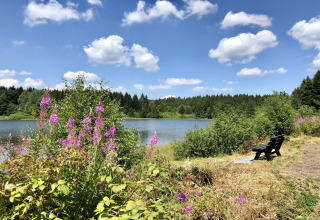 Zicht op meer, wilde bloemen, bos en bankje onder blauwe lucht bij Type A Nurdachhaus, Duitsland.