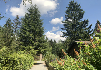 Weg zum Nurdachhaus-Lodge mit Haustier in Deutschland, umgeben von hohen Bäumen und blühenden Büschen.