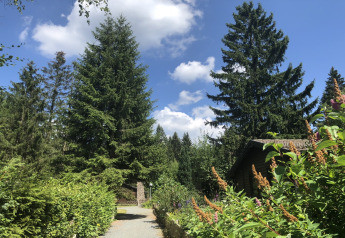 Entrance to the Type A - Nurdachhaus lodge with pet in Germany, surrounded by pine trees and nature.