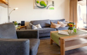 Gezellige woonkamer in chalet met grijze bank, fauteuil, houten salontafel, bloemen en zonlicht.