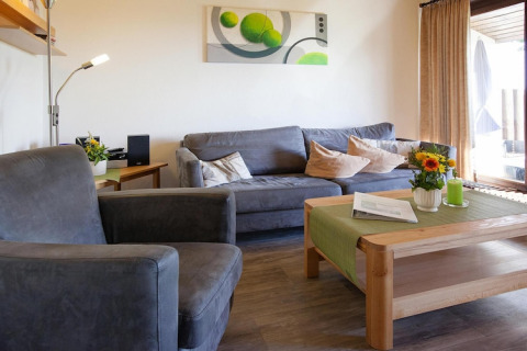 Knusse woonkamer in chalet met grijze zetel, houten tafel, bloemen en veel licht via het grote raam.