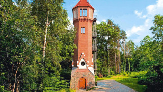 Water tower 75 sqm chalet midden in het groen, omgeven door hoge bomen en een helderblauwe lucht.