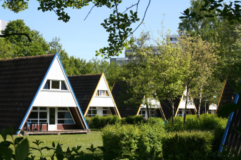 A-frame cottages at a scenic lodge, surrounded by lush greenery and trees under a clear blue sky.