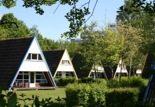 A-vormige huisjes op een lodge tussen het groen, omgeven door bomen en struiken onder een blauwe lucht.