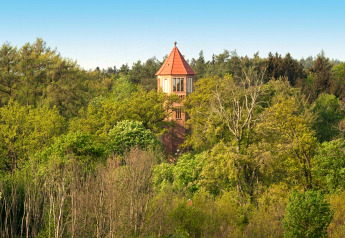 Foto van de Water tower 75 sqm chalet in Duitsland, omringd door groen bos en een heldere blauwe lucht.