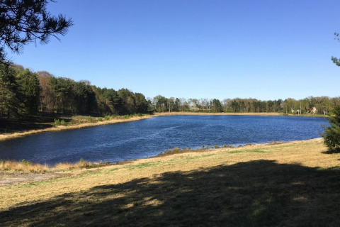 Vista de un tranquilo lago rodeado de árboles en Holiday home Svenja Wiefelstede-Lehe, Alemania, bajo un cielo despejado.