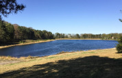 Vista de un tranquilo lago rodeado de árboles en Holiday home Svenja Wiefelstede-Lehe, Alemania, bajo un cielo despejado.