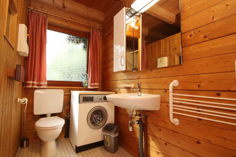 Badeværelse i træ stil med vaskemaskine, toilet, håndvask og spejl i Holiday home Svenja, Tyskland.