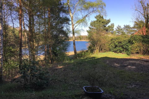 Zicht vanuit Holiday home «Svenja Wiefelstede-Lehe» in Duitsland op een meer en bomen bij zonnig weer.