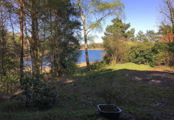 Vista desde Holiday home «Svenja Wiefelstede-Lehe» en Alemania, con lago y árboles en un día soleado.