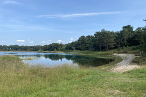 Zicht op een rustige vijver met bos op achtergrond bij Holiday home Svenja Wiefelstede-Lehe in Duitsland.