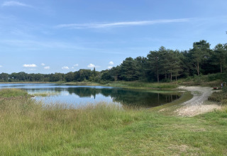 Vista de un tranquilo lago con bosque al fondo en la casa Holiday home Svenja Wiefelstede-Lehe en Alemania.