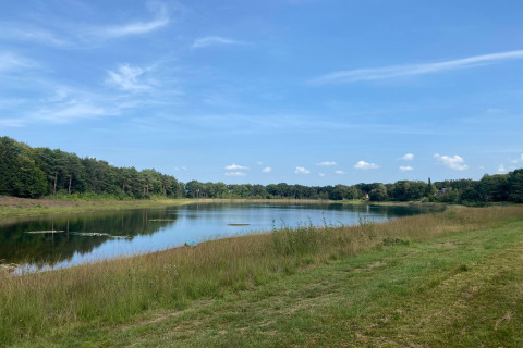 Zicht op een stille vijver met gras en bos bij Holiday home Svenja Wiefelstede-Lehe in Duitsland.