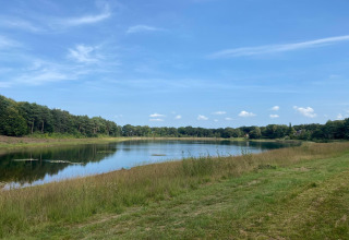 Zicht op een stille vijver met gras en bos bij Holiday home Svenja Wiefelstede-Lehe in Duitsland.