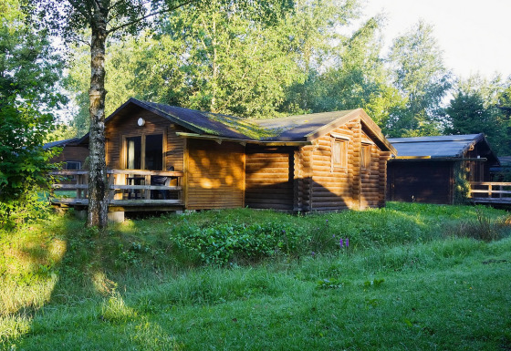 Type C House 363 364 361 362, houten lodge te midden van groene natuur en ochtendzonlicht.