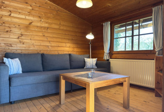 Knusse houten lodge met grijze bank, salontafel en raam in Type C House 363 364 361 362, Duitsland.