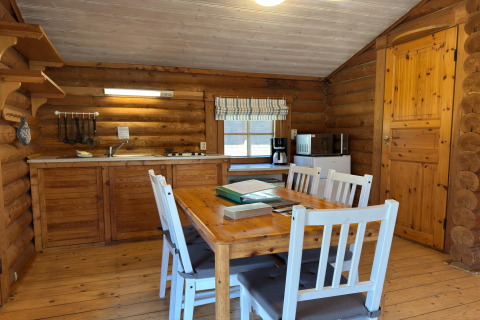 Binnenzicht van een gezellige blokhut in Duitsland met keuken, eettafel, vier witte stoelen en houten muren.