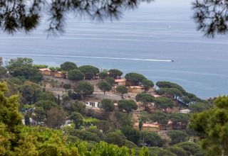 Uitzicht op Camping Rocagrossa Mobile Home tussen dennenbomen en met zicht op zee in Spanje.