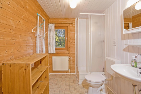 Bathroom with wood walls, shower, toilet, sink, and window in a Type C House in Germany.