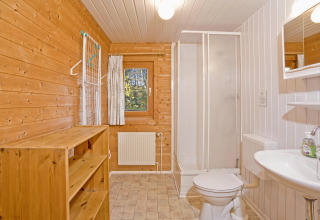 Badkamer met houten wanden, douche, toilet en wastafel in een Type C Huis in Duitsland.