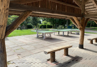 Buiten tafeltennistafels onder een houten overkapping met banken, omgeven door gras en speeltuin in Duitsland.