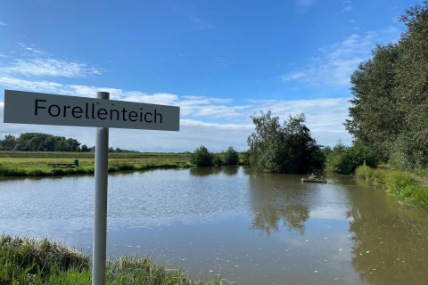 Bord met 'Forellenteich' naast een vijver met groen landschap en blauwe lucht in Duitsland.