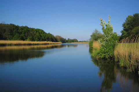 Uitzicht op een rustige rivier met groene bomen en riet vanaf Type C House 363 364 361 362 in Duitsland.