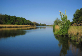Rustig rivierlandschap met groene bomen en riet, genomen bij Type C House 363 364 361 362 in Duitsland.