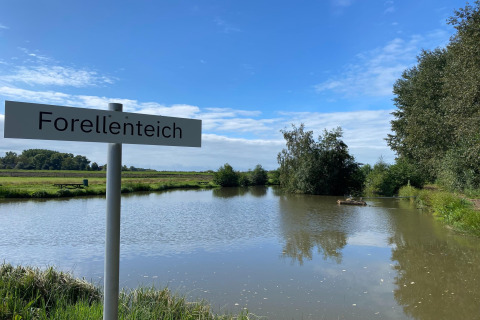Bord met 'Forellenteich' bij een forellenvijver met bomen en gras onder een blauwe lucht in Duitsland.