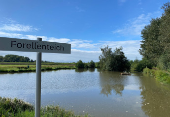 Panneau « Forellenteich » près d’un étang à truites entouré d’arbres sous ciel bleu en Allemagne.