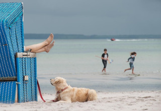 Persoon ontspant in een strandstoel met een hond op het zand en kinderen spelen bij het water, onder wolkenlucht.