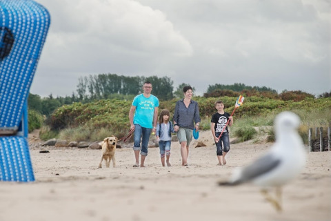 Gezin met hond wandelt op het strand bij Ostseeresort Dampland-Terrace house HiPr in Duitsland.