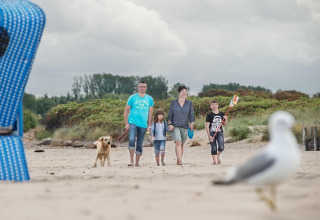 Gezin met hond wandelt op het strand bij Ostseeresort Dampland-Terrace house HiPr in Duitsland.