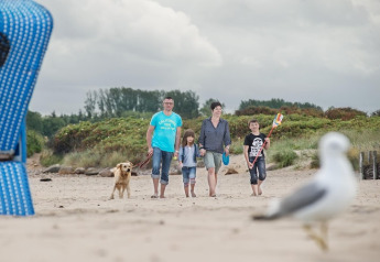 Famiglia con cane si gode una giornata in spiaggia a Ostseeresort Dampland-Terrace house HiPr in Germania.
