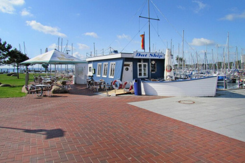 Buitencafé bij een jachthaven met veel zeilboten, blauw gebouw met bord 'Dat Ship', zonnige dag.