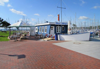 Buitencafé bij een jachthaven met veel zeilboten, blauw gebouw met bord 'Dat Ship', zonnige dag.