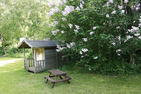 Cabaña de madera y mesa de picnic en Holiday home «Damp 90 sqm 5 Persons» rodeadas de arbustos en flor en Alemania.