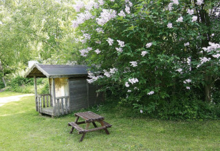 Houten huisje en picknickbank bij Holiday home «Damp 90 sqm 5 Persons» met bloesemende struiken in Duitsland.