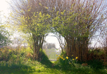 Portail blanc entouré d’arbres et de fleurs à Holiday home «Damp 90 sqm 5 Persons» en Allemagne, au soleil.