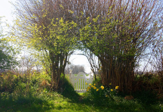 Witte poort omgeven door bomen en gele bloemen bij Holiday home «Damp 90 sqm 5 Persons» in Duitsland, zonnig.