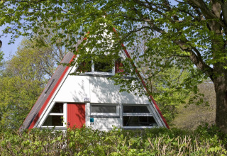 A photo of an A-frame lodge surrounded by green trees and shrubs, taken on a sunny day at a lodge.