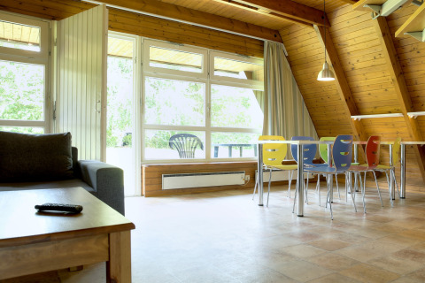 Bright, spacious lodge living area with colorful chairs, large windows, wood paneling, and natural light.