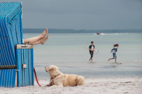 Person relaxing in a blue beach chair with dog nearby, kids playing on the shore at Nurdachhaus, Germany.