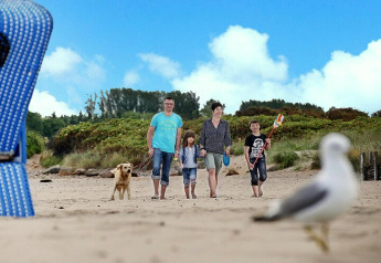 Eine Familie mit Hund spaziert am Strand vor Dünen, während vorne eine unscharfe Möwe zu sehen ist.