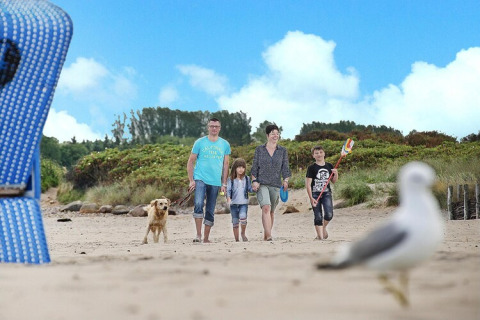 Famiglia con due bambini e un cane che cammina su una spiaggia sabbiosa, gabbiano in primo piano.