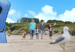 Familia con dos niños y un perro caminando por la playa, con una gaviota desenfocada en primer plano.