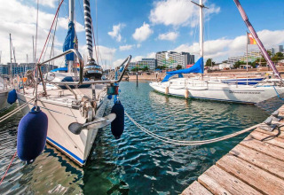Veleros atracados en un muelle de madera junto a un lodge, con edificios modernos al fondo y cielo soleado.
