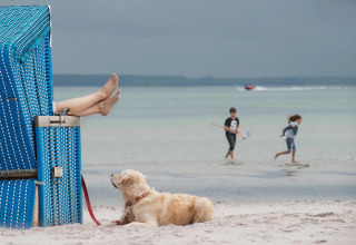 Hond bij blauwe strandstoel met voeten die uitsteken, kinderen spelen aan het strand, bewolkt in Duitsland.