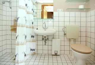 Tiled bathroom with shower, zebra-patterned curtain, sink, toilet, glass shelves, and paper roll.